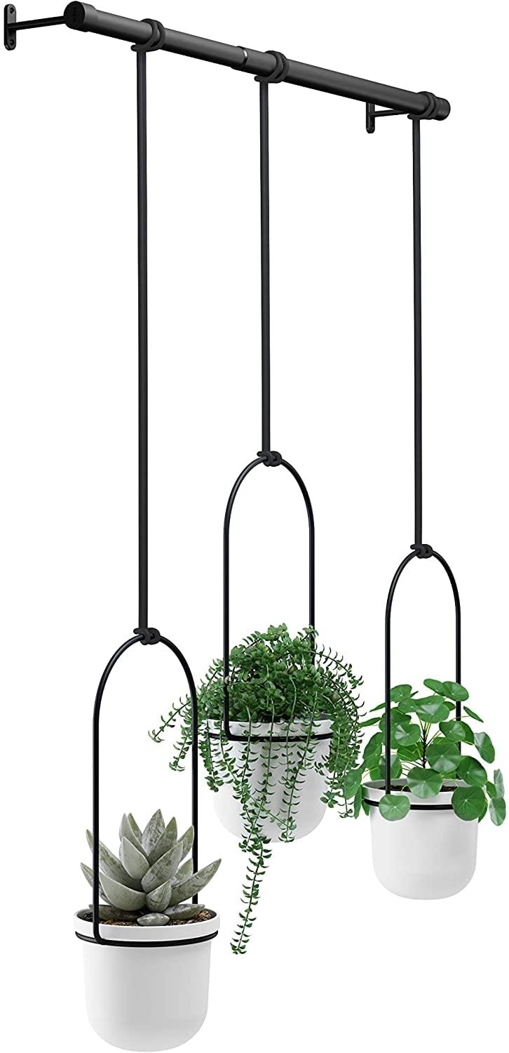 Plantes Suspendues - Ecoworld Plante Suspendue XL + Pot Set - Tropical - 3  pièces 